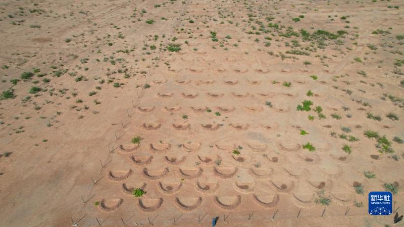 Reporter's Notes: China's Desertification Control Program Helps Nigeria Meet the Challenge of Desertification Nigeria Africa | Xinjiang Institute of Ecology and Geography, Chinese Academy of Sciences | Program
