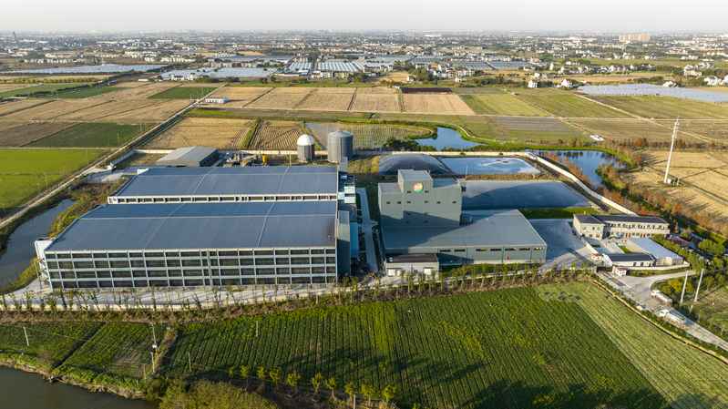 Looking at the 13 Year Rural Land Transformation Project in Shanghai from a Building Pig Farm | Land | Shanghai