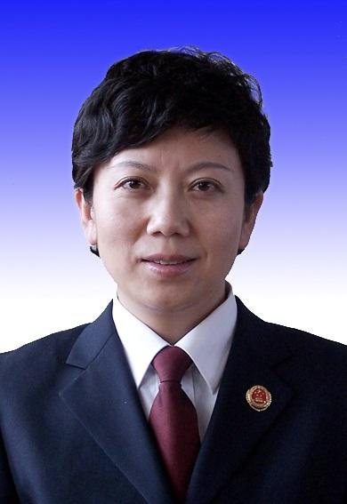 At the department level, Ding Xiamin serves as the Deputy Secretary and Deputy Prosecutor General of the Party Group of Gansu Provincial Procuratorate | Gansu Provincial Procuratorate | Party Group