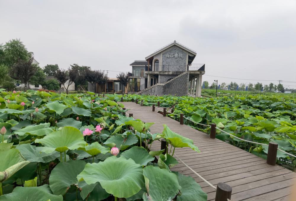 Shanghai is the first national "green mountains and clear waters are as valuable as gold and silver" practice and innovation base! Exploring the Green Development Path in Caojing Jinshan | Green Water and Green Mountains | Caojing