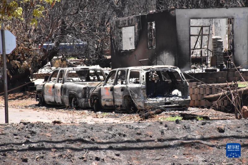 Direct Attack on the Scene: The Sorrow, Anger, and Expectations of Disaster Victims - Direct Attack on the Severe Wildfire Disaster Area of La Haina, Hawaii, 20th | Tan Jingjing | Wildfire | Anger