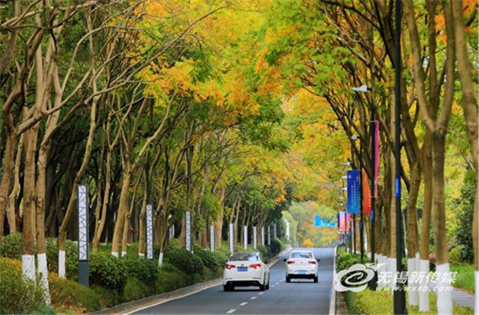 Paving a New Scroll of "Ecological Green City", Wuxi, Jiangsu: "Planting" this Green City | City | Green City