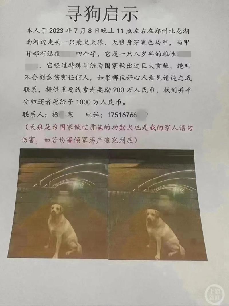 The relevant public account has been pointed out to be problematic, and there may be a motive behind the "Ten Million Yuan Search for Dogs": No one answered the notice phone | Search for Dogs | Related