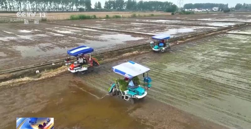 Protect Liangtian and listen to me! Net increase in total arable land for two consecutive years | Basic farmland | Good farmland