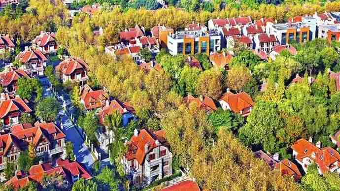 Why the New Track Flows to the Old House on the Small Road under the wutong Tree | Survey of the Historic and Cultural Area in Central Shanghai ② Culture | History | Central Shanghai