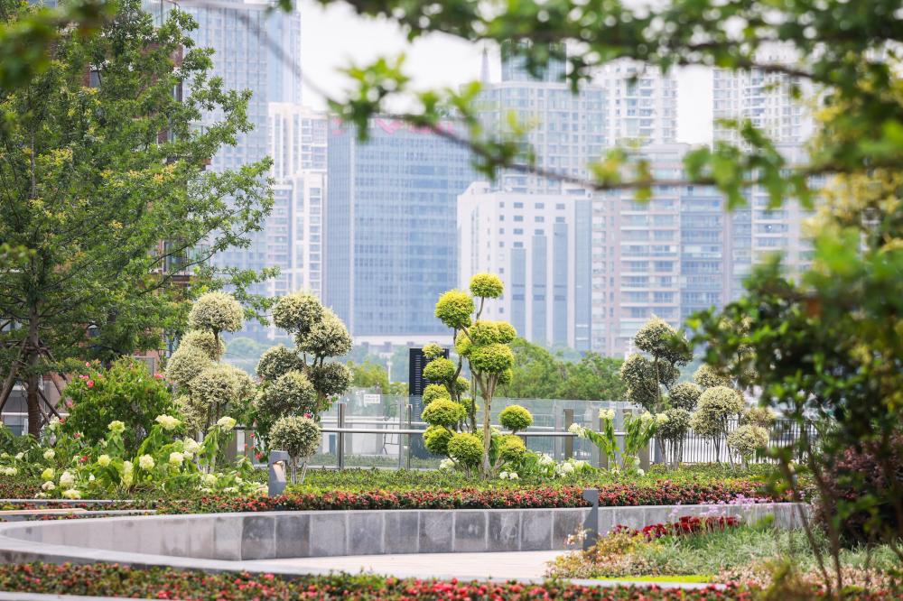 The night view is even more charming, becoming a new scenery along the Bund. The "most beautiful pedestrian overpass in Shanghai" can pass through the Flower Bridge | Bund | New Scenery