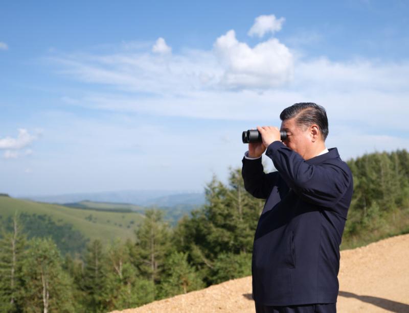 Mirror View, Navigator, Xi Jinping: Coordinating Landscape, Forest, Field, Lake, Grass and Sand System Governance Xi Jinping