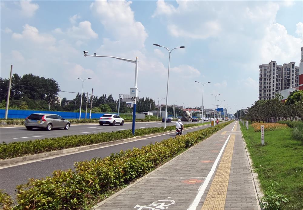 Why didn't you plant a street tree?, Going out is just exposure to the sun! This one kilometer Qilian Mountain Road | Qilian Mountain | Road | Street Trees