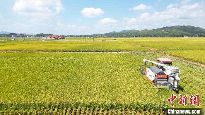 Xiangyue Fujian: Changting has a good summer harvest and abundant scenery | Base | Fujian