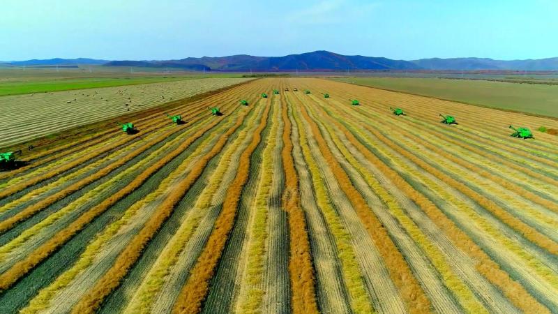 Current Politics Micro Video | Aerial View of Inner Mongolia and Inner Mongolia | National | Micro Video