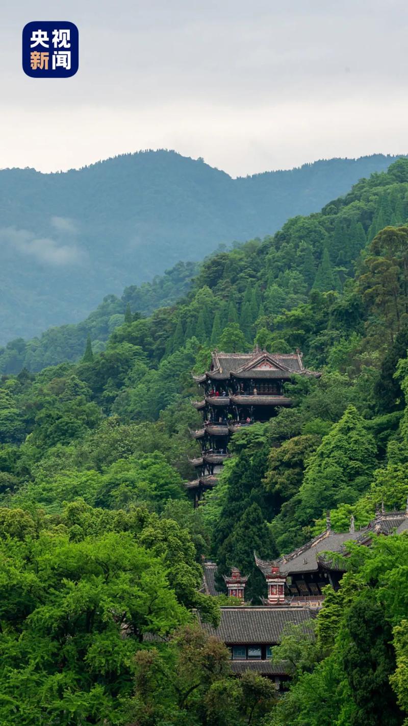 Walk with me on the streets of Chengdu | Skills | Walk with me on the streets of Chengdu