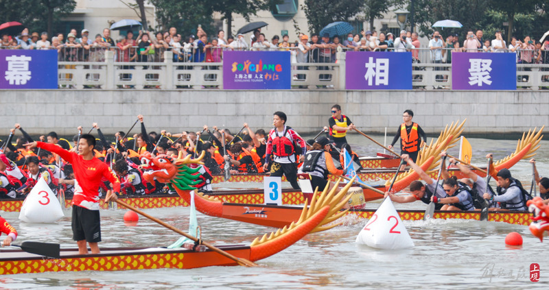 Brave to take the lead, 24 dragon boats race across Sijingtang in Songjiang