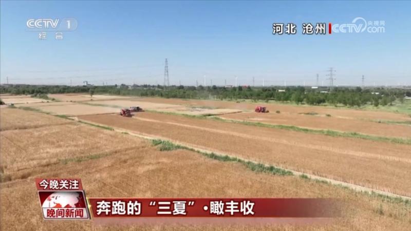 Running in the "Three Summers" - Overlooking the Harvest Shrimp Pond | Harvest. Rice fields | Harvest