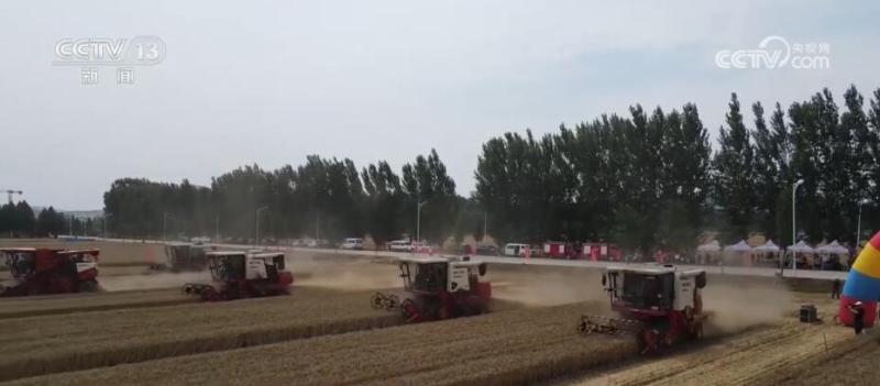 1.5 million agricultural machinery deployed to ensure loss reduction, efficiency improvement, and high standard completion of summer planting operations | Shandong | Summer planting