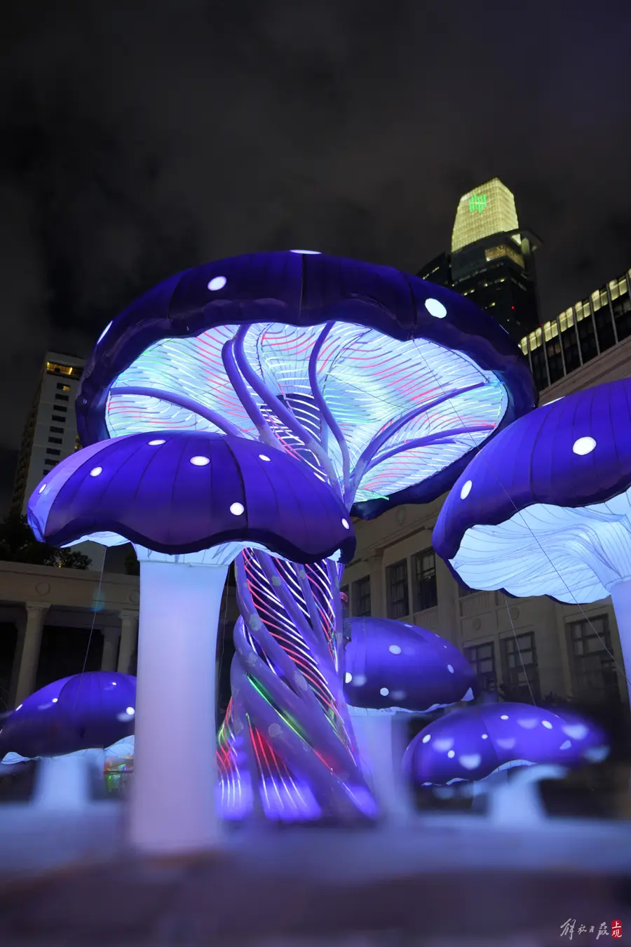 The audience seemed to have walked into the "Lilliput Country", and the mysterious jungle world in "Classic of Mountains and Seas" appeared at the Shanghai Light and Shadow Festival