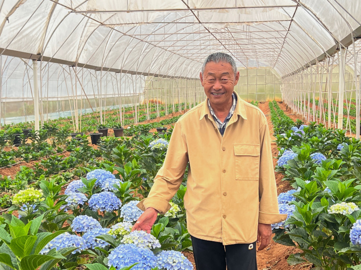 Who was ultimately harmed by infringement? The lawsuit against the best-selling domestically produced hydrangea flower has reached the highest court