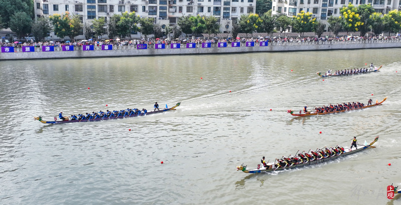 Brave to take the lead, 24 dragon boats race across Sijingtang in Songjiang