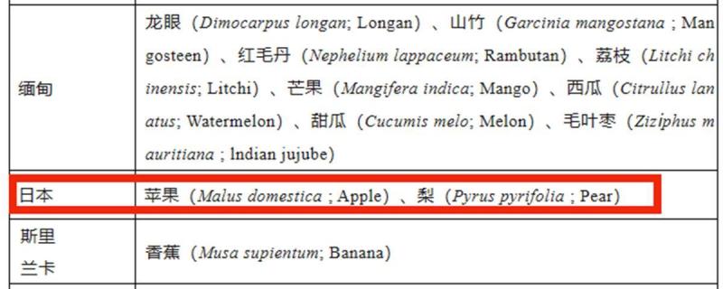 Customs: There is no such import. The store called it "Japan imports Shizuoka melons". Diners roast that the melons cost 138 yuan a piece of fruit | Shenzhen Customs | Import