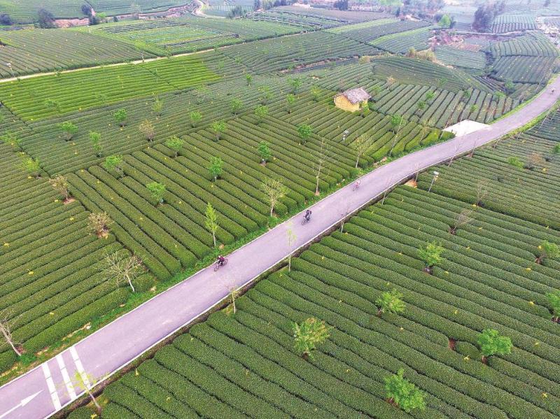 Academic Roundtable | Building a Beautiful Chinese Ecology of Harmonious Coexistence between Human and Nature | Protection | Academic