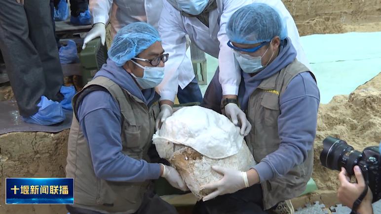 Listening to the past and present lives of Shiyan, unveiling the mysterious veil of the No.3 skull fossil of "Yunxian People". Fossils | Yunxian People | Shiyan