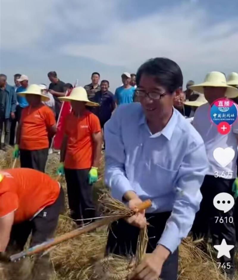 不是巧合,“割麦书记”火上热搜干部|群众|书记