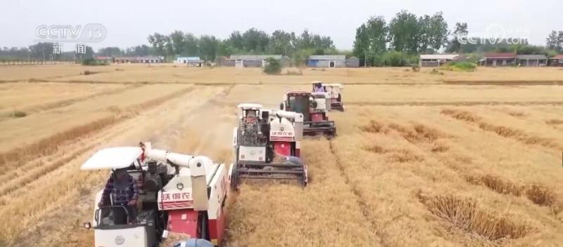 Beidou's "Divine Tool" Helps Smart Agricultural Technology Safeguard Summer Harvest Accessories | Harvester | Smart