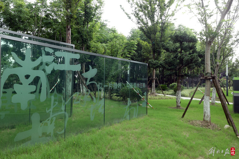 Walking, exercising, admiring flowers, strolling children... Multiple "pocket parks" in Qingpu have been built with open domes | Yingpu | admiring flowers