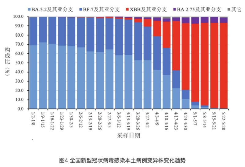 The latest report from China National Center for Disease Control and Prevention! XBB | Branch | Disease Control