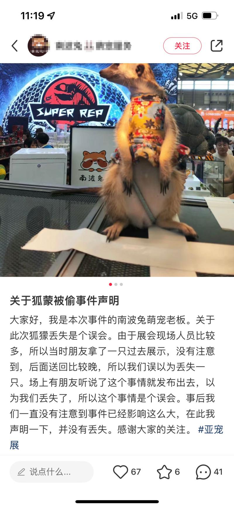 Is Ding Man, a Red Fox Mongoose, Stolen from Asia Pet Exhibition Network? Store responds to visitors | incident | Store
