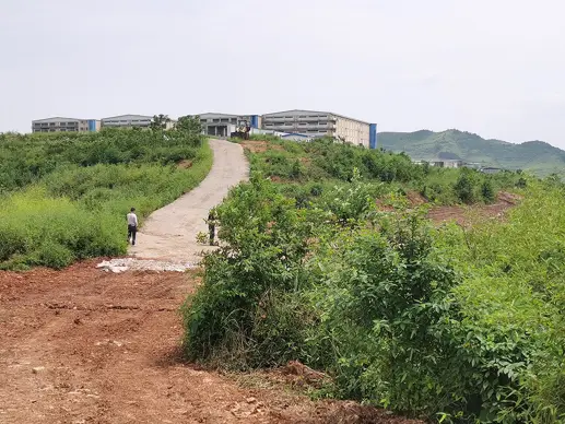 The environmental protection department filed a case, and thousands of villagers in Chenzhou were in drinking water dilemma: nearly 100 tons of feces from the pig farm polluted the water source