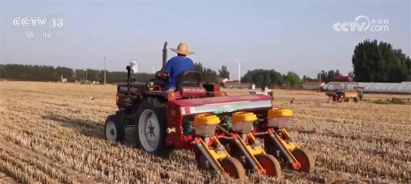 The combination of "agricultural machinery+agricultural technology" in wheat harvesting and autumn grain planting simultaneously expands the area | pre sowing | combined wheat