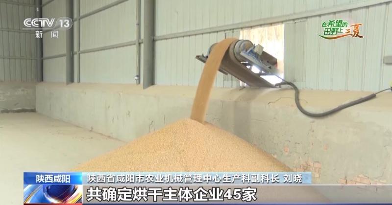 Drying, removing impurities, and day and night harvesting... Various measures are taken in various regions to ensure that wheat grains are returned to the warehouse during the peak wheat season. At present, the particles are returned to the warehouse