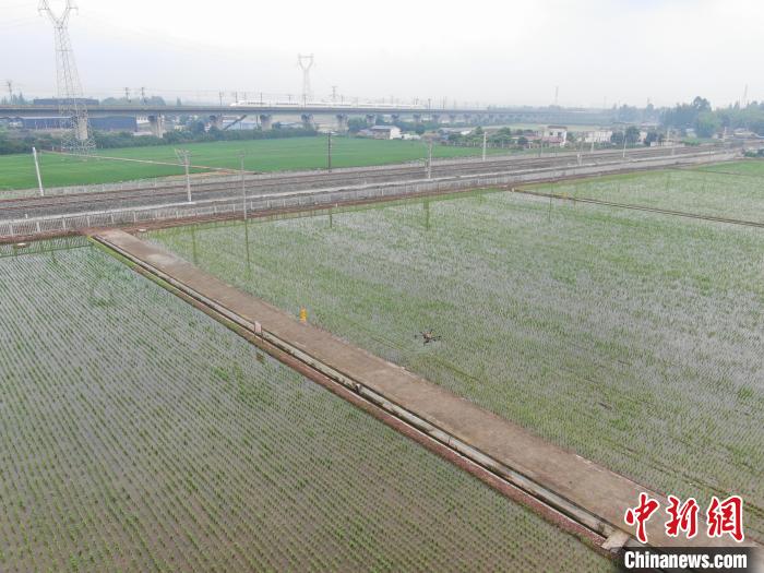 Sichuan: Writing "Land Articles" Tailored to Local Conditions to Build a Higher Level "Tianfu Granary" Farmland in the New Era | Tianfu | Era