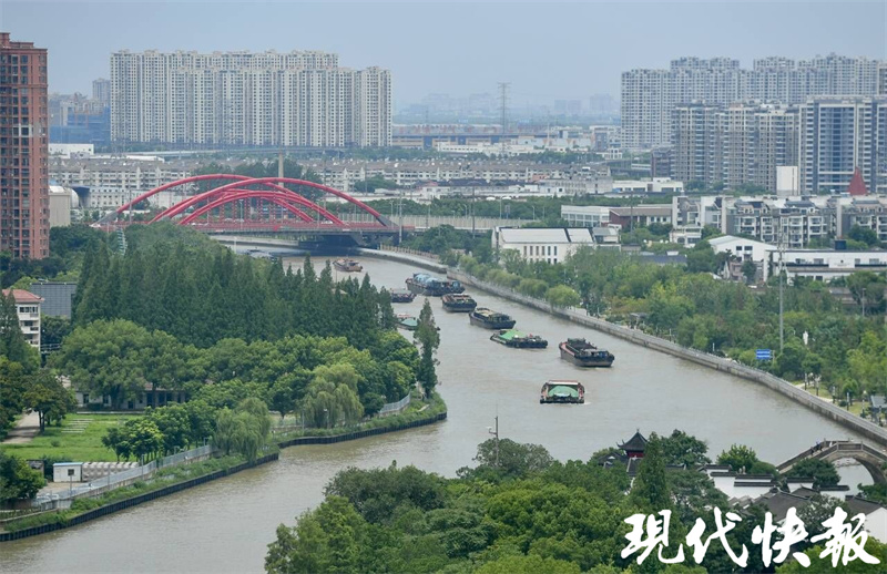 The construction of the "Environmental Park" in Pudong continues to advance, with 16 parks upgraded and renovated in 4 years