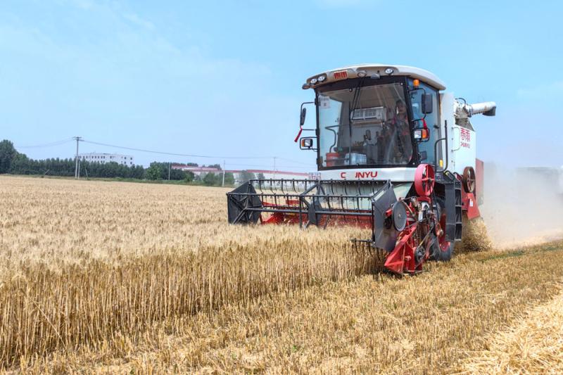 Cultivating "Invisible Grain Fields" - Looking at the Path of "Whole Chain Grain Saving and Loss Reduction" from the Main Summer Grain Production Areas in Shandong | Wheat | Chain