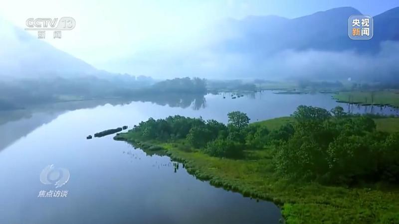 焦点访谈丨“半年报”：中国经济回升向好贡献率|增长|经济