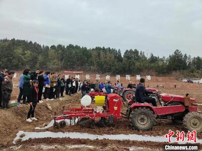 Sichuan: Writing "Land Articles" Tailored to Local Conditions to Build a Higher Level "Tianfu Granary" Farmland in the New Era | Tianfu | Era