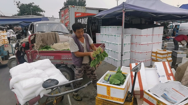 没钱挣,菜农诉苦：别看价格高,暴雨致北京蔬菜大幅减产蔬菜|北京|菜农