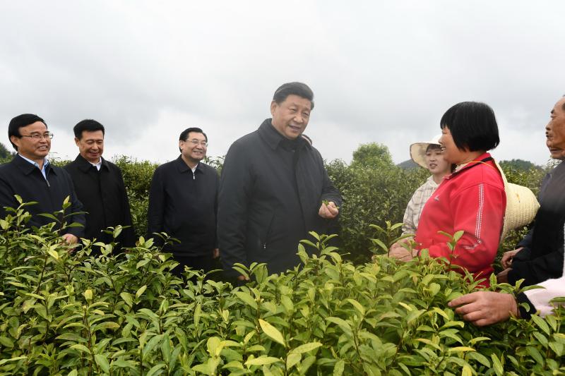 Xi Jinping profoundly explained the "two mountains theory", a closer look | in this university Jinshan | Yinshan | University