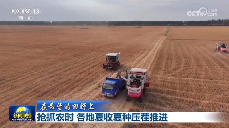 【在希望的田野上】抢抓农时各地夏收夏种压茬推进小麦|农机|田野