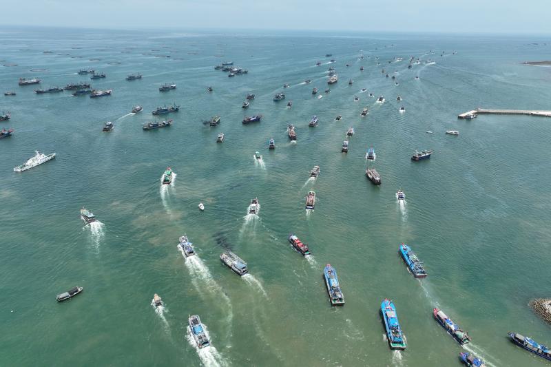 Fishing Busy in the South China Sea, Thousands of Sails Race to Harvest Red | Xinying Port, Lingao County, Hainan | South China Sea