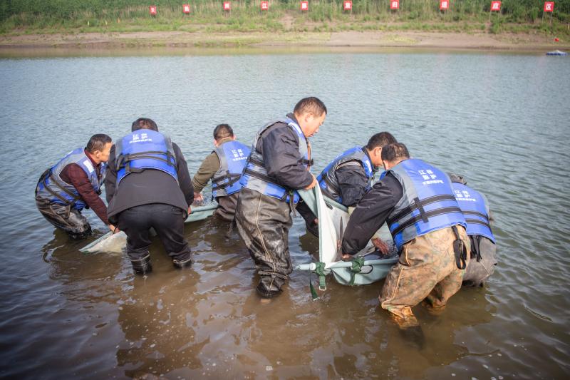 Voice of the Yangtze River | Voice of Nature | Yichang City, Hubei Province | Rouge | Yangtze River