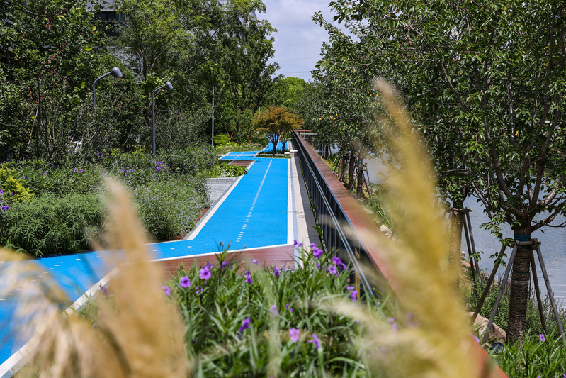 Open sharing makes Shanghai full of greenery, and the 90 year old "little angel" on Hengshan Road has turned to ecology for the first time | Park | Hengshan