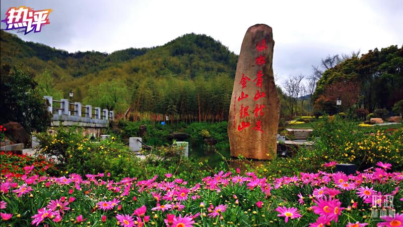 热评丨生态文明有“流量”更有力量自然|大熊猫|流量