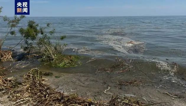 乌方：黑海海水盐度急剧下降海洋生态学科学中心|水电站|海水