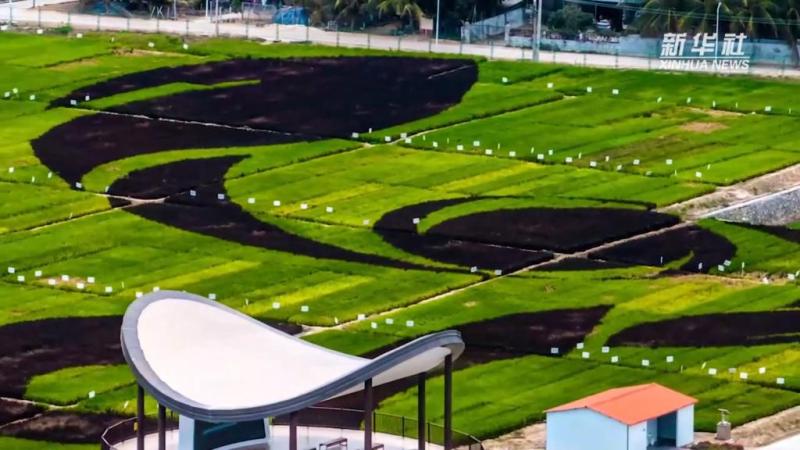 High Quality Development Research Tour | Yazhou Bay Science and Technology City in Sanya, Hainan | Technological Innovation Promotes Industrial Leapfrog Development | Innovation | Yazhou Bay in Sanya, Hainan