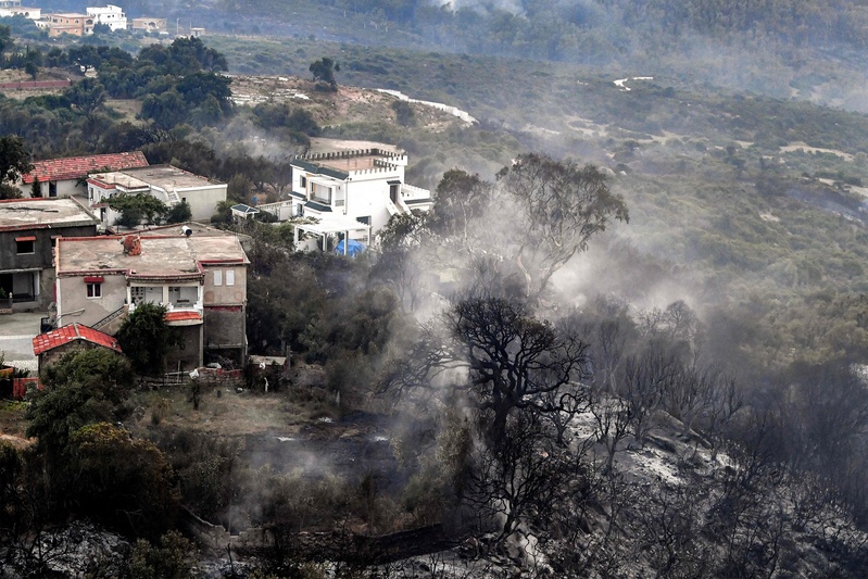 【 Looking at the World 】 The death toll from wildfires in Algeria has risen to 34, including | the Israeli parliament | wildfires