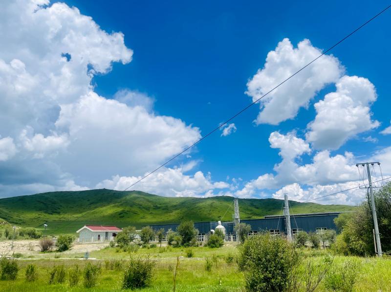 Our Home | Hongyuan, Sichuan: Creating a Characteristic Modern Agricultural Park to Assist Rural Revitalization Yak | Hongyuan County | Hongyuan, Sichuan