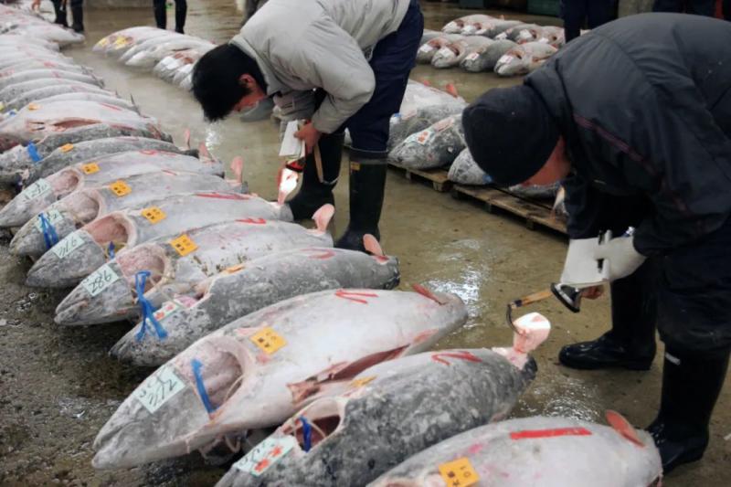 China's imports of Japanese aquatic products have sharply decreased. China | Japan | China