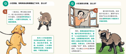 What should we do if there are more and more of them?, Survey of nearly 300 residential communities in Shanghai living together with national second level protected animals | Wildlife | Residential Areas